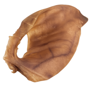 Pets Oreja de Cerdo Jumbo para Perros