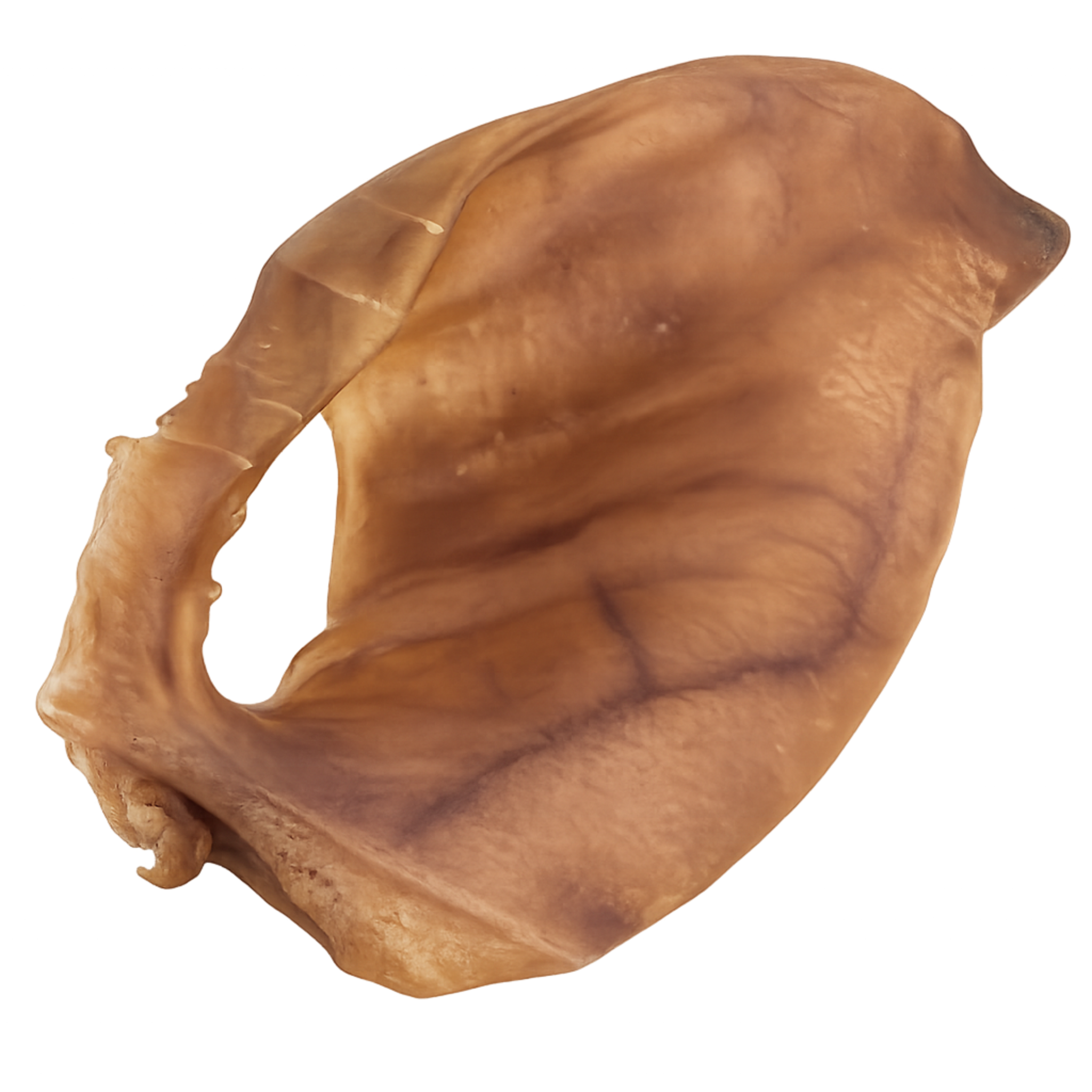 pets oreja de cerdo jumbo para perros