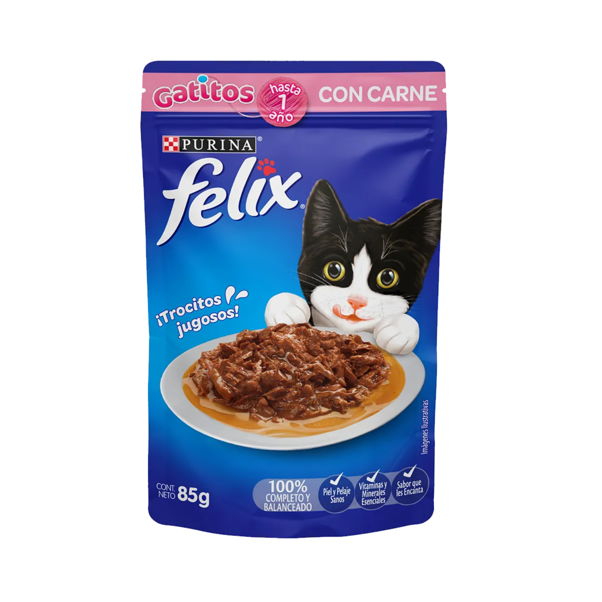 purina felix gatitos – alimento húmedo para gatitos 85g